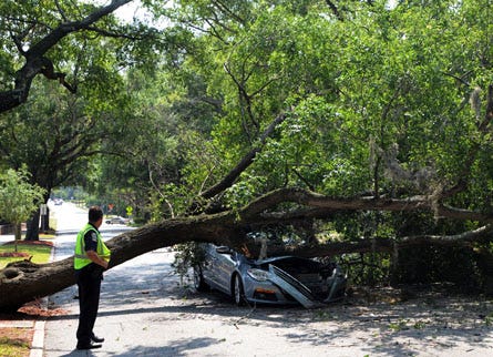 A Wilmington Police Officer surveys the damage to a car that was crushed after a tree fell blocking Market Street near the Wilmington National Cemetery, in the 2000 block.