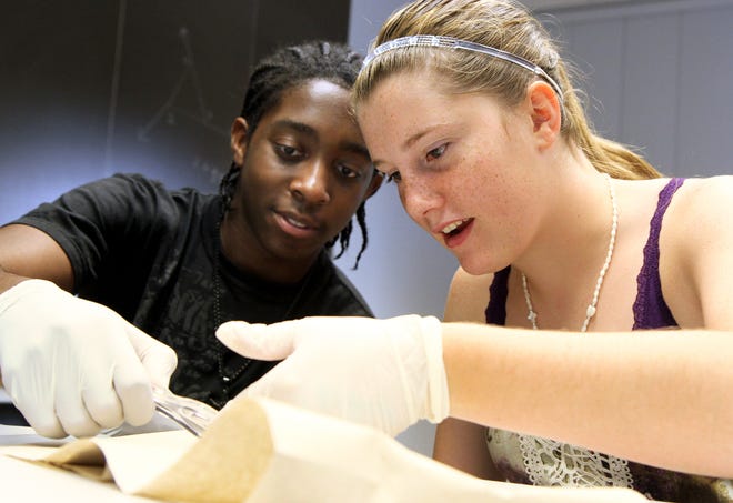 Dakota Williams, left, and Katelyn Peterson examine a fly to determine what species it is during their forensic studies class Monday morning at Carl Sandburg College. Williams and Peterson are sophomores at Galesburg High School and are spending their summer taking courses through the Upward Bound program at Sandburg.