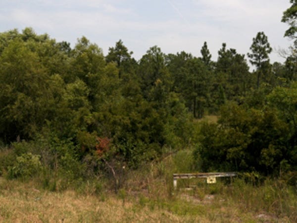 Land off Stephens Church Road, near the intersection of I-140 and U.S. 17, was recently reclassified as transition.