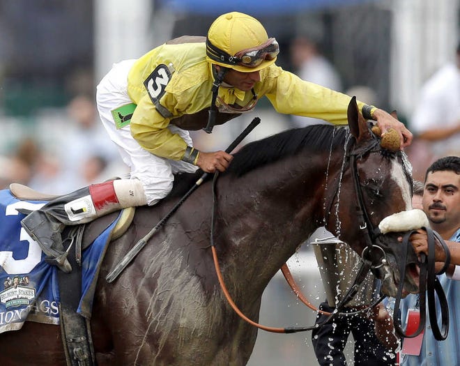 FILE - In this June9, 2012, file photo, jockey John Velazquez bathes Union Rags with water after winning the Belmont Stakes horse race in Elmont, N.Y. Union Rags has a minor ligament injury in his left front leg and will be sidelined for the rest of the year. (AP Photo/David J. Phillip, File)