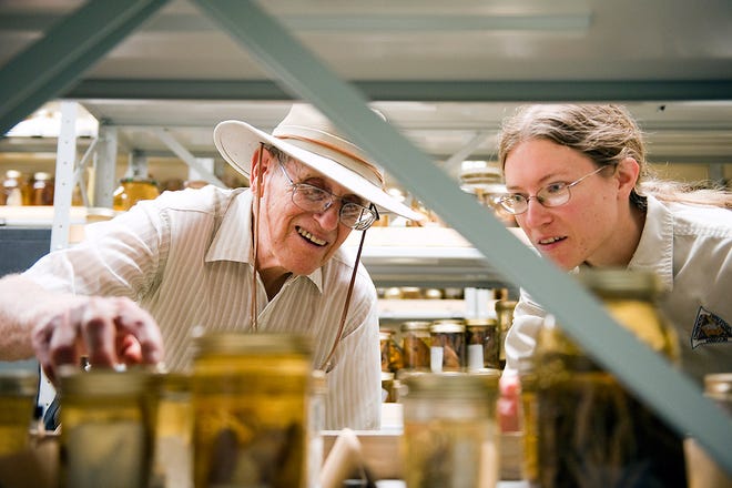 William Pflieger, left, looks at samples he collected during his time with the Missouri Department of Conservation as Resource Science Assistant Emily Imhoff looks on Friday during the dedication of the E. Sydney Stephens Building on Gans Road. The building houses offices, laboratories and storage rooms for the department.