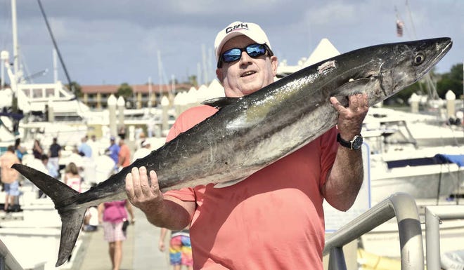Ed Oldham brings the winning fish to the scales at Saturday's Ancient City Gamefish Association's Kingfish Challenge. The crew of the Fore Play held on to their lead through the second day of competition to win the event with the 41.5-pound king.