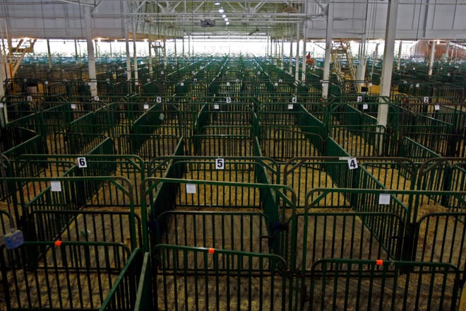 In this Tuesday, Aug. 7, 2012 photo, enclosures in the Swine Barn stand empty after all except the champion pigs were cleared from the building at the Indiana State Fairgrounds in Indianapolis. The State Department of Health said Wednesday, Aug. 8, that lab tests have confirmed 113 cases of a new strain of swine flu in 18 Indiana counties, and more cases are expected to be confirmed later this week. (AP Photo/The Indianapolis Star, Chet Strange) NO SALES