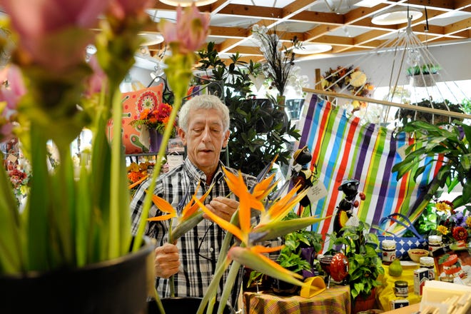 Gregg Florist owner Dan Callahan works to open up Bird of Paradise plants at his shop on 1015 E. War Memorial Drive in Peoria Heights.