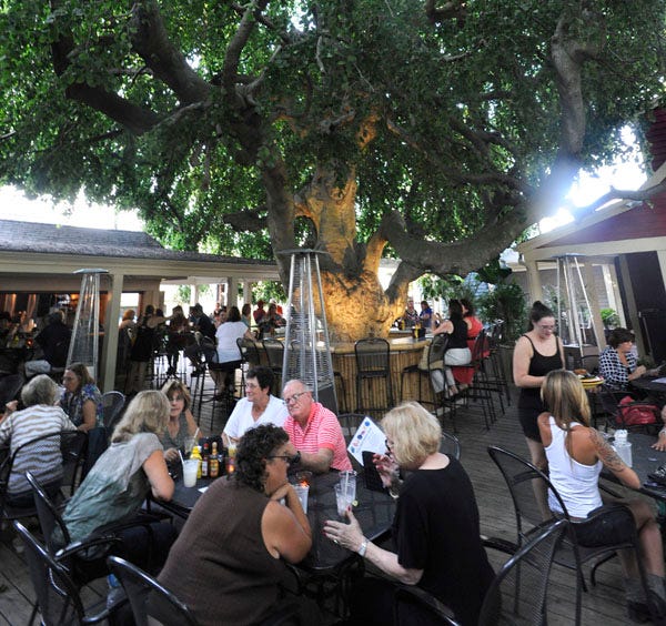 Customers surround the 200-year-old tree at the Tree West Back Bar at the Beach Tree in Hyannis.