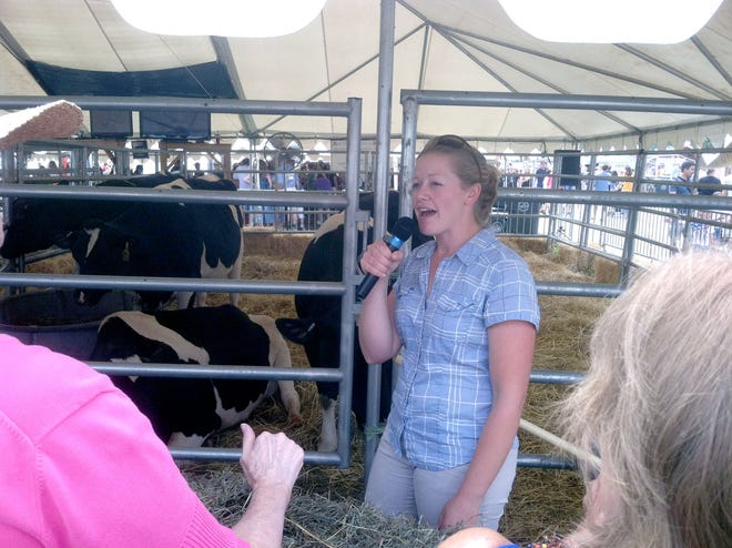 Rachel Brong, of Rhode Island, takes questions from the audience Sunday at the Barnyard Babies Birthing Center during the 152nd Annual Woodstock Fair. Four dairy herd calves had been born during the fair as of 1:15 p.m. Sunday.