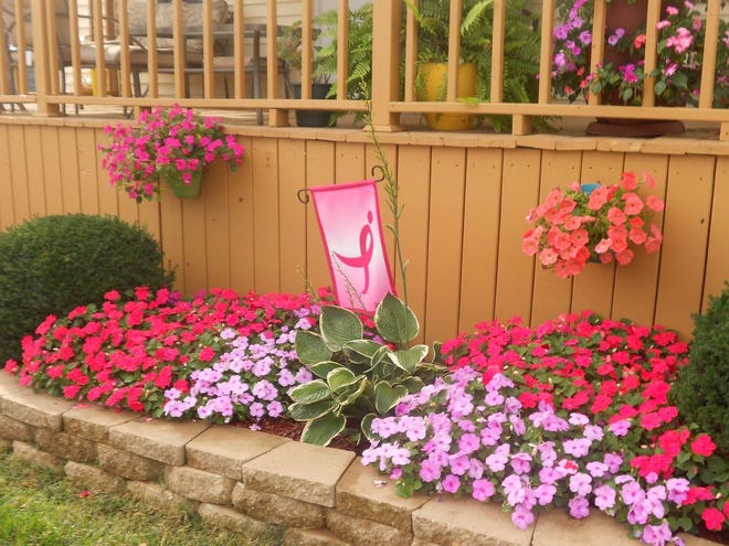 A full array of pink shades of impatiens spills from hanging baskets and front yard plantings at the home of Cliff and Bernice McGinnis, 854 W. Maple St., Canton.
