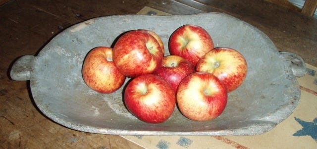 Apples were essential to the survival of our early American ancestors.