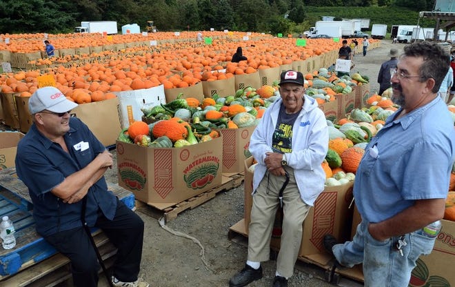 Waiitng for the auction of 150,000 pumpkins to begin at James Durr's Wholesale Florist in Chesterfield, Thursday were (l) Kirk Reed of Eastampton, Mario Isgro from Springfield Township and Kevin Red from New Egypt.
