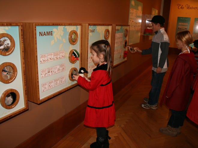 The traveling interactive exhibit “Peanuts ... Naturally” opens Saturday with a day of activities at the Florida Museum of Natural History in Gainesville. (Photo courtesy of the Charles M. Schultz Museum)