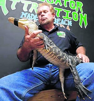 Bob Barrett, owner of The Alligator Attraction, poses with one of his 
alligators in Madeira Beach. The gator park takes young alligators to pool 
parties for a fee of $175.
AP PHOTO