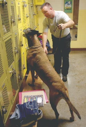 Galesburg K-9 officer Robert Sweeney walks with K-9 officer Kelly, a Belgian Malinois, who sniffs for drugs through the lockers in the girl's locker room at Abingdon High School. Seven of the 38 regions analyzed by Gatehouse Media use a large portion of their drug forfeiture funds for the purchase and upkeep of K-9 units. Ten percent of funds in the region was used for K-9 units, which totaled $15,600 out of about $157,000 making it the fourth-highest category of use of funds.