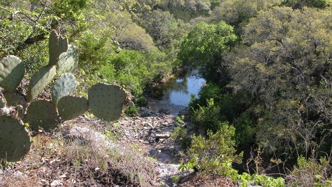 Government Canyon State Natural Area is in west Bexar County near San Antonio.