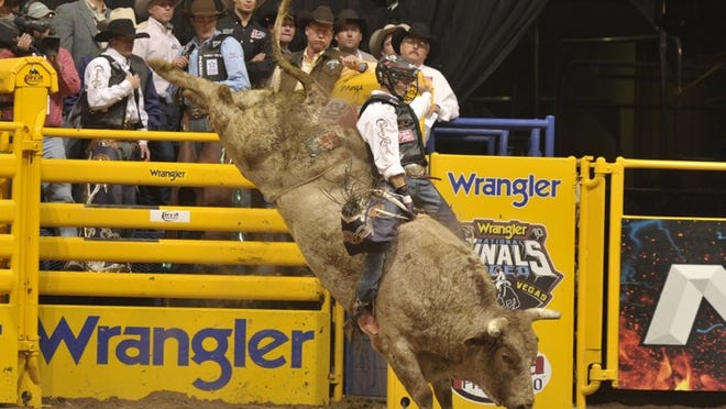 Bull riding is one of six events that will be offered for male riders at the Indiantown Rodeo on Oct. 26 and 27.