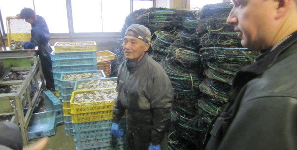 During Jim Pickering's first visit to Japan late last year, he observed local practices in growing scallops and, on land, how the harvest is processed. Pickering has returned for another visit as he gathers information for his own scallop farm on the Cape.