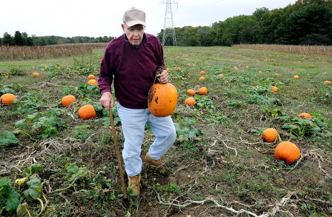 Farmer, Oscar Davis carries a 10 lbs.pumpkin from his field in Springfield Township.