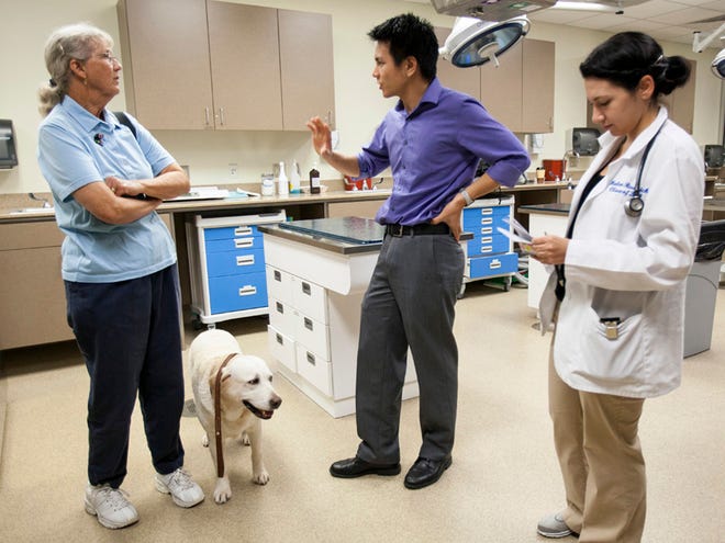 Nine years after injury, dog has knee replaced -- a first for UF vet school