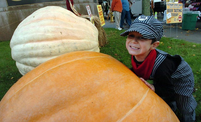 Aiden Nadeau, 5, of Plainfield tries to move a 462-pound pumpkin Saturday at the Great Pumpkin Festival in Putnam. A 893-pound pumpkin is behind him.
