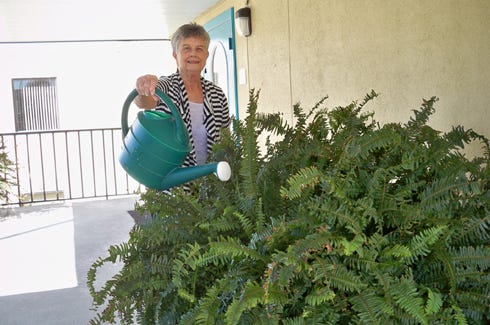 Helen Anderson, a member of First Baptist Church for almost 30 years, keeps ferns fresh at the entry to the sanctuary.