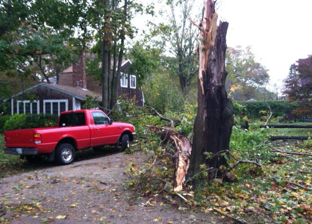 This pickup on Barry Road suffered a glancing blow when a tree snapped last night. A neighbor used a chainsaw to free the truck from the debris.