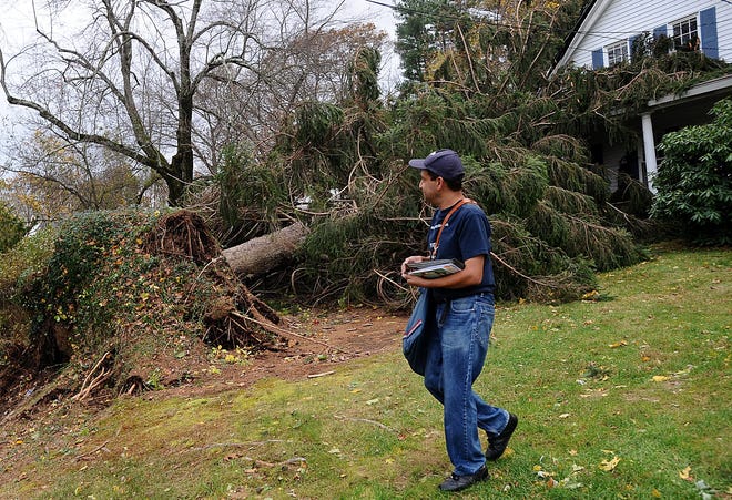 Letter carrier Shailesh Hegde walks back to the street after delivering the mail to 26 Pemberton Road in Wayland after a tree crashed on top of it during Hurrricane Sandy.