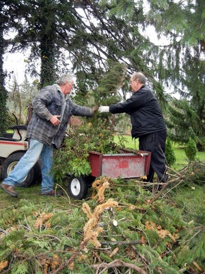 Ray McDonald and Jim McCoy clear a pine tree from the lawn at Mercersburg Inn Wednesday.