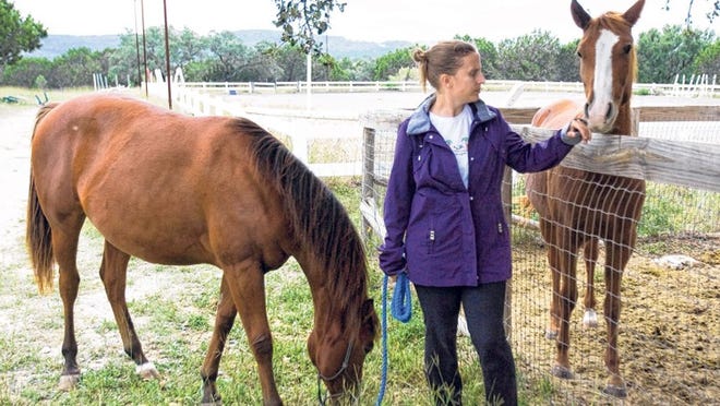 U.S. Army veteran Jan Willoughby said she has become a lot calmer and less stressed since working with rescue horses PJ, left, and Renata at nonprofit The Joyful Horse Project’s facility in Lakeway.