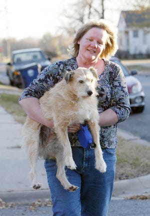 Rachelle Cavanaugh carefully carries D.D. - "Ditch Dog" - back to the yard of their Buhler, Kan., home Monday Nov. 12, 2012, after she tried wandering across the street while on her leash. The pair are still working on D.D.'s socialization and leash walking.  (AP Photo/The Hutchinson News, Lindsey Bauman)