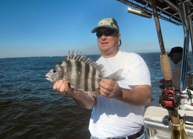 Bob McNally for the Times-Union Bob Plewniak shows a sheepshead he caught near Mayport on jetties at the mouth of the St. Johns River. creditline: Bob McNallyFor the Times-Union