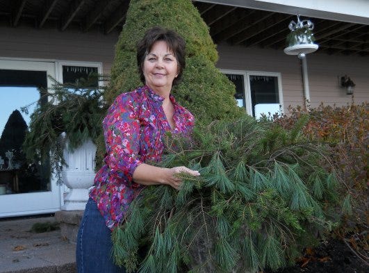 Cheryl James prepares greens for the Canton Garden Club's holiday house tour, "Songs of the Season," on Dec. 7-8.