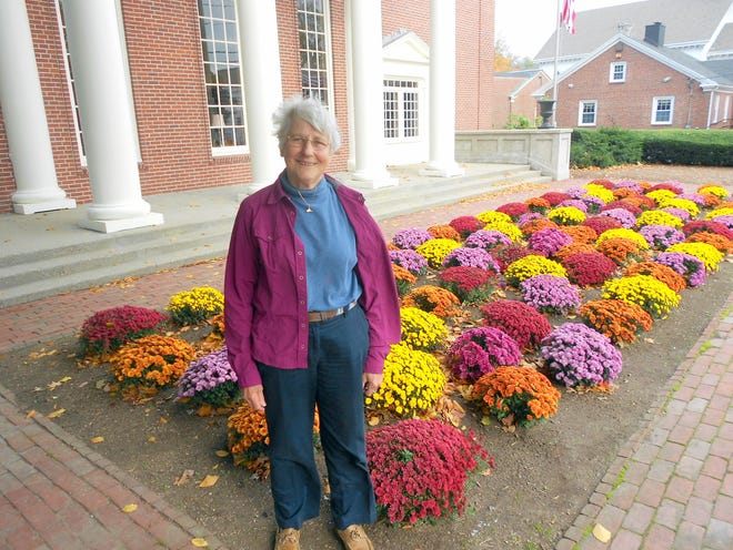 Shirley Krasinski, chairman of the Bridgewater Improvement Association, was named Bridgewater Citizen of the Year. The association planted these mums in front of the library.