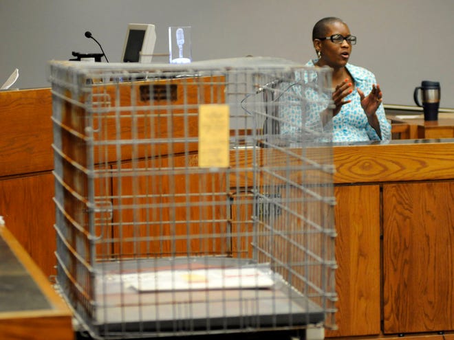 Detra Coakley Winfield testifies in a Miami-Dade Criminal Court about the steel dog cage, left, she loaned Geralyn Graham to put Rilya Wilson in before the 4 yr old child disappeared. Graham is charged with the murder of the little girl Thursday, Nov. 29, 2012. (AP Photo/The Miami Herald, Tim Chapman)