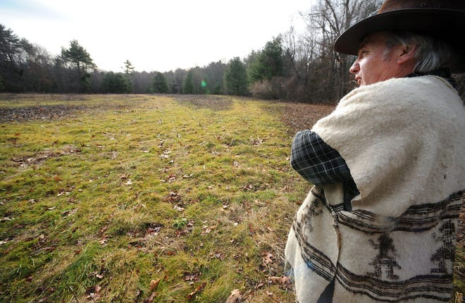 Conservation Commission Stewardship Committee member Carl Hakansson looks over one of Warren Woods' open fields.