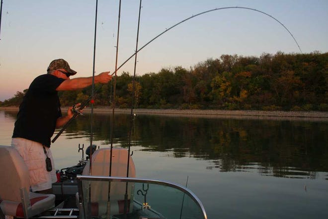 Sweeping changes in bait regulations were implemented in 2012 to prevent the spread of Aquatic Nuisance Species. However, some of those regulations have been amended. Anglers now can use wild-caught bluegill and green sunfish for bait, as long as they didn't come from ANS-listed waters.