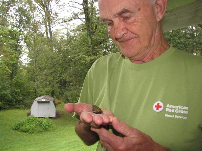 CAROL LINK | SPECIAL TO THE TIMES
Gary Beck holds the small female Rufus hummingbird that he spotted Sept. 3.