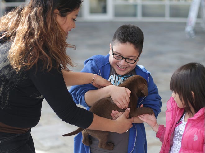 Tatiana Ruiz hands a puppy to her son Cailos Camacho, 8, and Kim Drin, 6, Friday during an adoption event outside the Bay County Government Center.