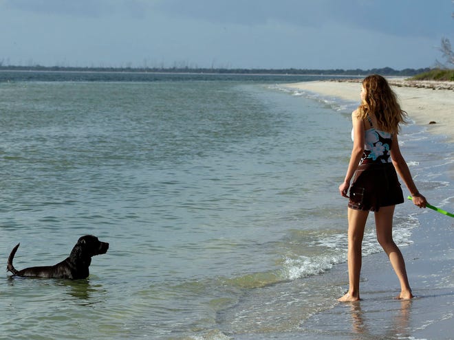 Sarah Ranes, of Safety Harbor, prepares to throw a tennis ball to her dog "Strider" on a dog-friendly beach at Fort De Soto State Park in St. Petersburg. (AP)