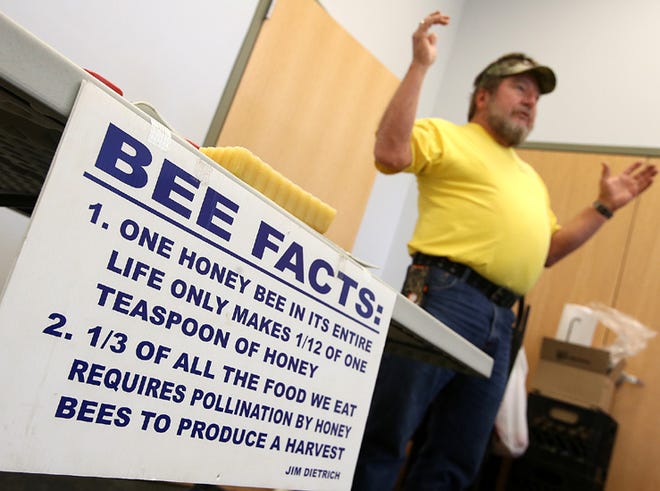 Jim Dietrich of Dietrich's Honey Farm gives a beekeeping presentation at the Panama City Beach Public Library on Tuesday.