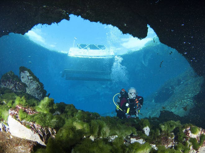 In the file photo, Dr. Joe Wallace enters the cavern in the main spring while a pontoon boat sits 40 feet above him at the Silver Springs nature park on Wednesday July 25, 2012.
