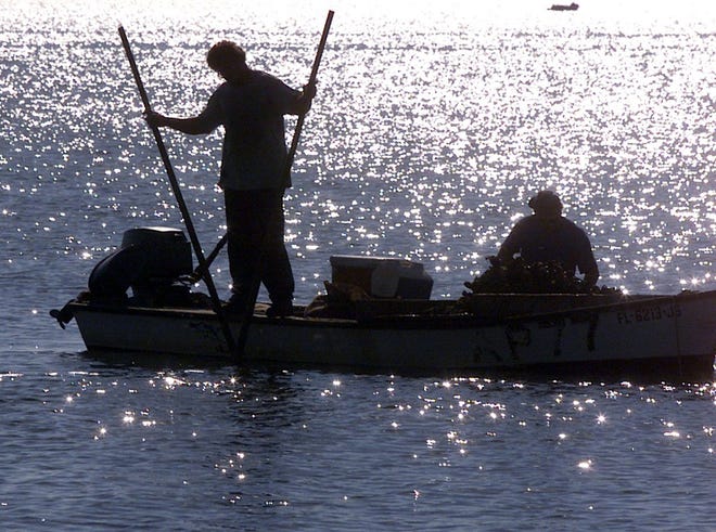 Clay Butler, left, works the oyster beds at Cat Point in Apalachicola Bay in 2011. Oystermen say the oyster harvest has been shrinking, especially in the past year.