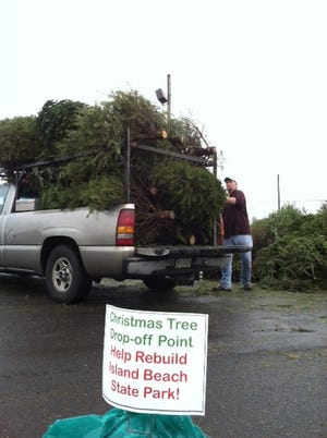 Rich Diegler of Feasterville is part of a citizen volunteer effort to deliver discarded Christmas trees from Bucks County to the Jersey Shore, where they are being used to rebuild storm-ravaged dunes.