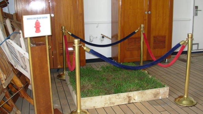 The “service dog relief station” aboard ship. Photo provided