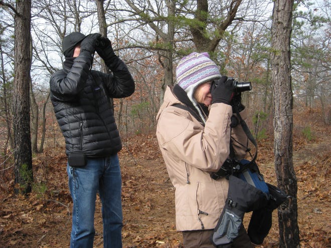 Participants in the “Winter Adventure on Pine Island” walk in Quincy look for owls on Saturday, Jan. 20.