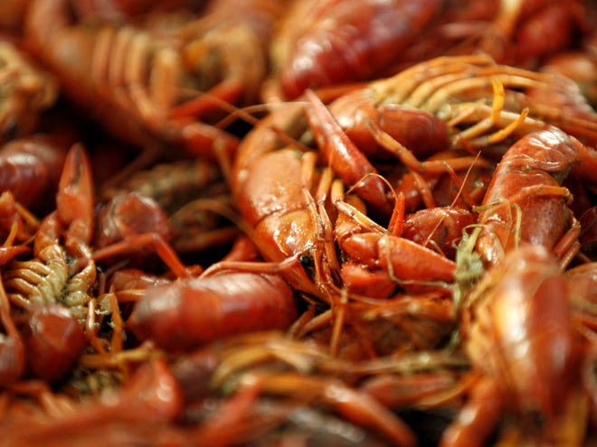 Boiled crawfish are displayed Friday at Kjean Seafood in New Orleans.