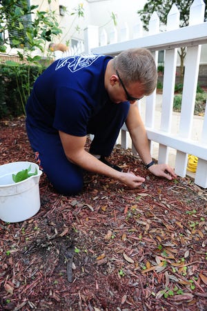 A Member from Coast Guard Sector Jacksonville pulls weeds in the Jacksonville-based Ronald McDonald House courtyard, Thursday Jan. 24, 2013. Members from Coast Guard Sector Jacksonville and the Afloat Training Group participated in a voluntary cleanup day at the house and hosted a cookout for the families.