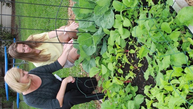 Unity School cafeteria director Lori Robbins, left, and student Olivia Misch check out the organic garden that supplies the school with fresh greens daily. This year, the seventh-graders planted, maintained and harvested three raised beds of produce for the school cafeteria.