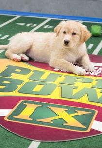 Puppy Bowl IX | Photo Credits: Animal Planet