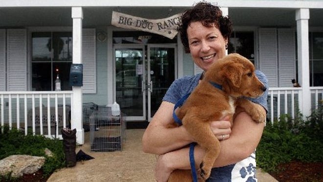 Volunteer and board member Lorrie Brown of Big Dog Ranch Rescue, a Wellington farm that advocates for and adopts out big dogs (and small) in need of a home, is shown last year at the ranch. (Bruce R. Bennett/The Palm Beach Post)