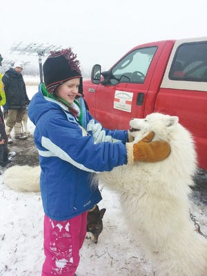 Hailey Carlson meets one of the team from Prairie Isle Dog Trekking at the Sullys Hill Winter Festival held Saturday.