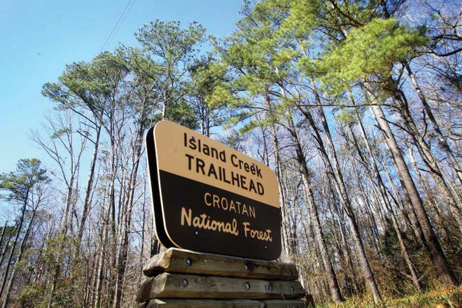 A five-mile network of user-built mountain bike trails off Island Creek Trail in the Croatan National Forest is temporarily closed while U.S. Forest Service officials examine whether its use could harm archaeological remains there.
